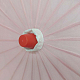 photo-2935952